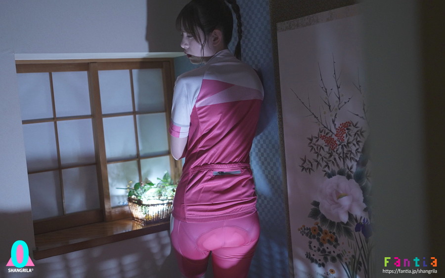 乗馬マシンあおいれな