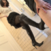 素人女子金蹴り